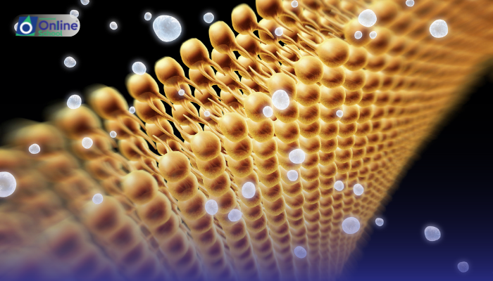 Lesson 19: Properties and Roles of Acylglycerols, Phospholipids, Terpenes, and Waxes